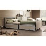 cama-para-casa-de-reposo-electricacon-4-barandas-la-flexibilidad-de-utilizacion-es-la-caracteristica-predominante-la-cama-ofrece