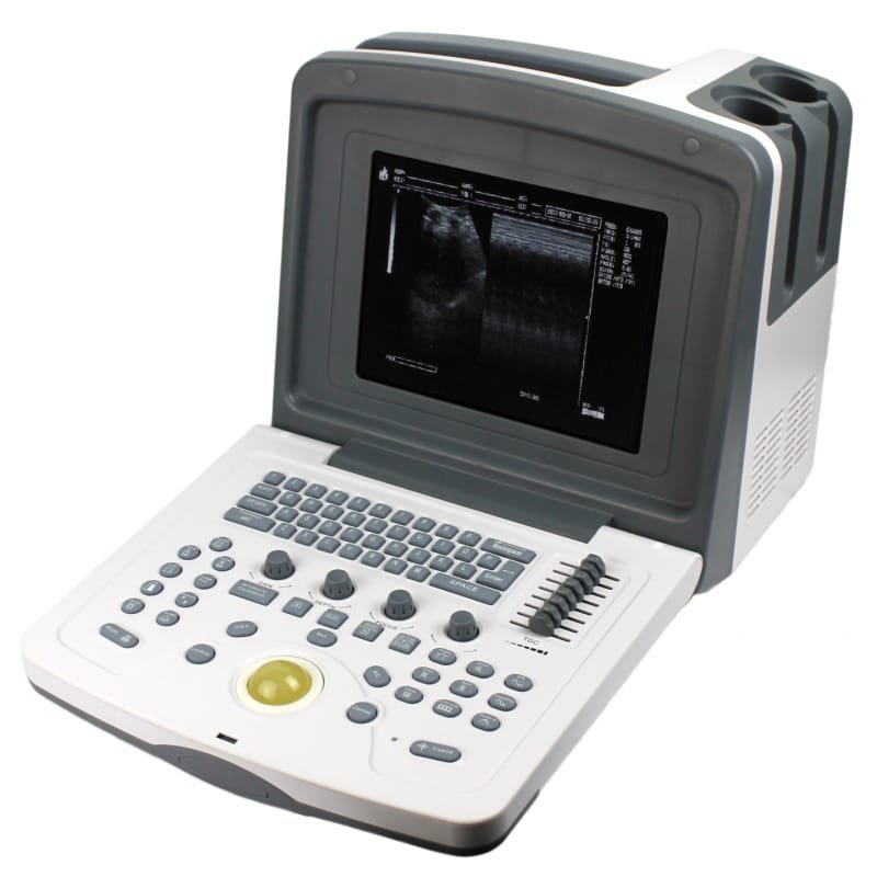 ultrasonido-wed9618-con-t-veterinario-rectal-ultrasonido-welld-modelo-wed-9618-veterinario-transductor-convexo-o-transductor-rec